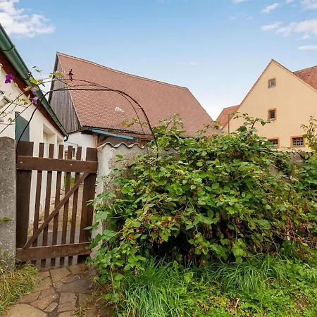 Spacious In With Garden Daire